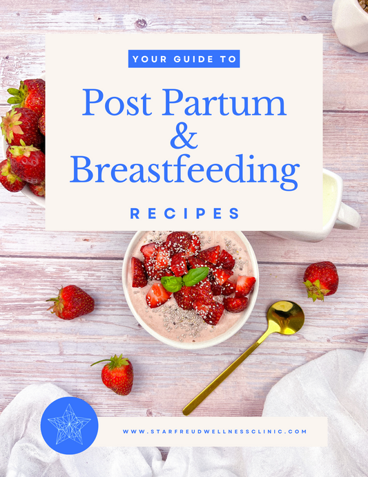 Postpartum & Breastfeeding Gut Nourishing Recipes eBook