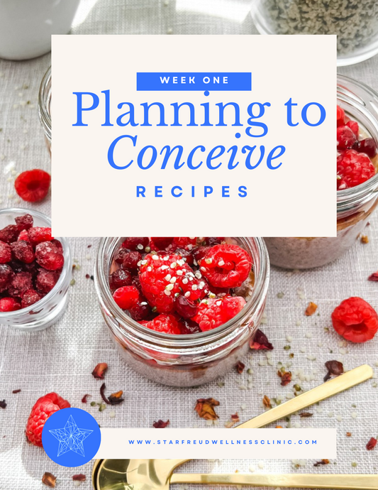 Week 1: Planning to Conceive Gut Nourishing Recipes eBook