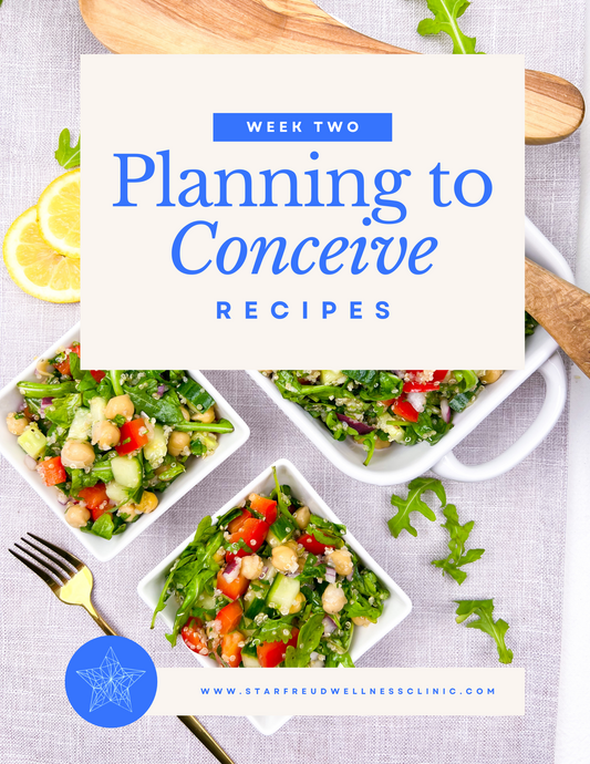 Week 2: Planning to Conceive Gut Nourishing Recipes eBook